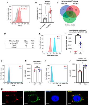 Impact of platelet-derived mitochondria transfer in the metabolic profiling and progression of metastatic MDA-MB-231 human triple-negative breast cancer cells